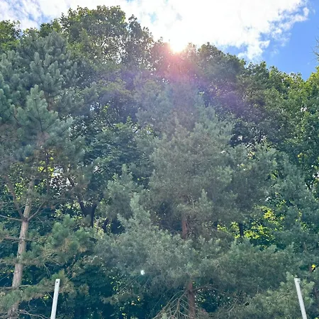 Barbarossa Bed & Breakfast 3*