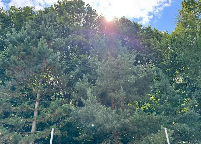 Barbarossa Bed & Breakfast 3*